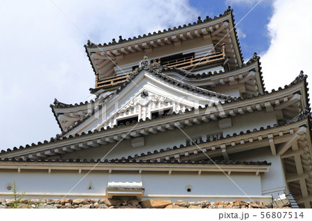 仰ぎ見る高知城天守 56807514