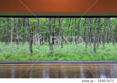 北の大地美術館 北の大地美術館 56807675