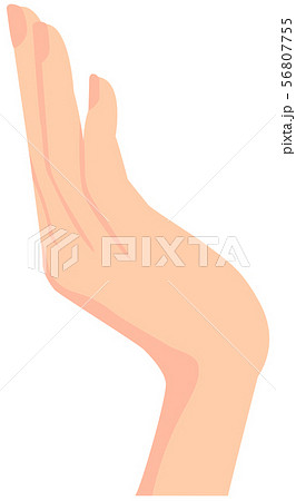 女性の手 ジェスチャー ハンドサイン イラストのイラスト素材