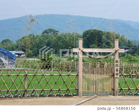 献穀斎田の門　（熊本市嘉島町） 56808150