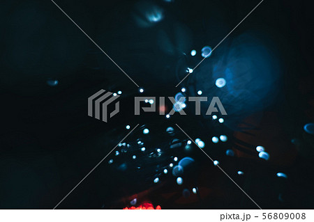 Beautiful abstract fiber optical network cable on 56809008