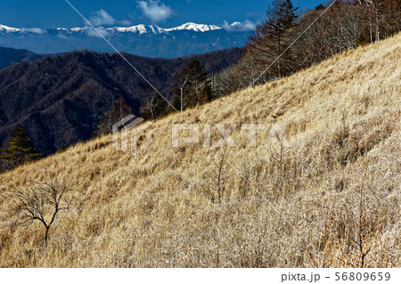 乾徳山・扇平の草原と南アルプスの山並み 乾徳山・扇平の草原と南アルプスの山並み 56809659