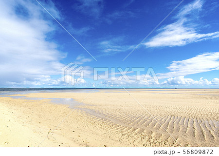 ニューカレドニア、グランドテール島、ブーライユ、ポエビーチ 56809872