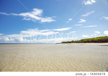 ニューカレドニア、グランドテール島、ブーライユ、ポエビーチ 56809878