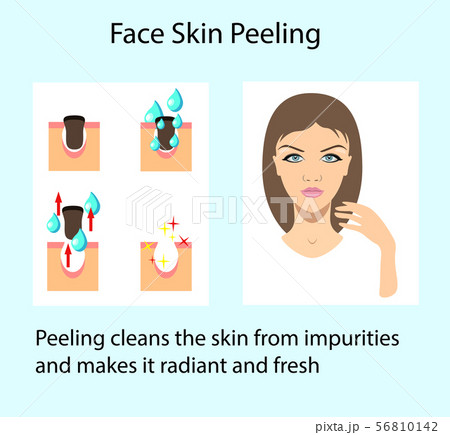 Cleansing skin process, vector illustration isolated on the light background 56810142
