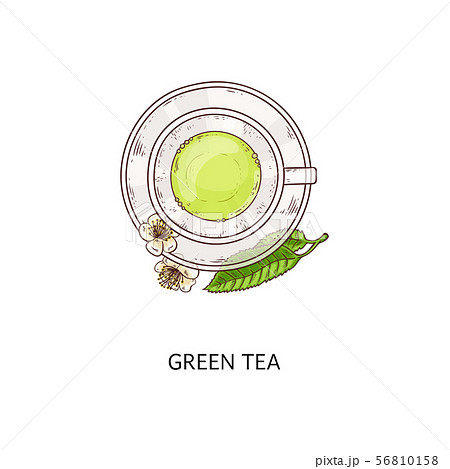 Green tea drawing - top view of a glass cup with hot healthy drink with leaves and flowers 56810158