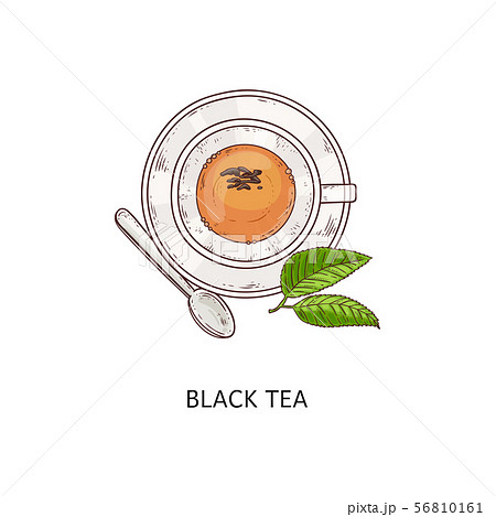 Cup of black tea icon vector illustration in sketch doodle style isolated. 56810161