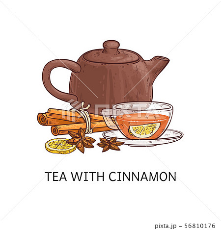 Spicy tea type the tea with cinnamon sketch vector illustration isolated on white. Spicy tea type the tea with cinnamon sketch vector illustration isolated on white. 56810176