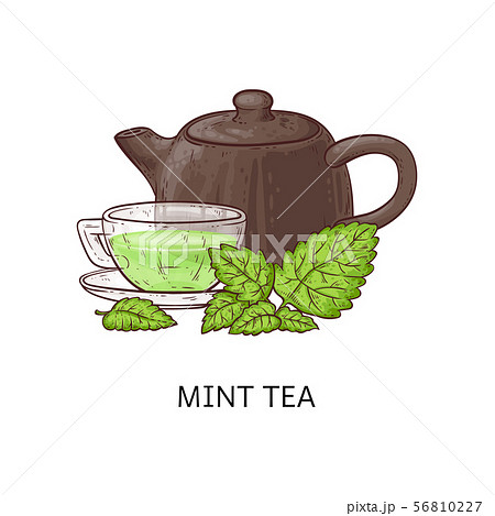 Mint tea drawing - glass cup with healthy green beverage 56810227