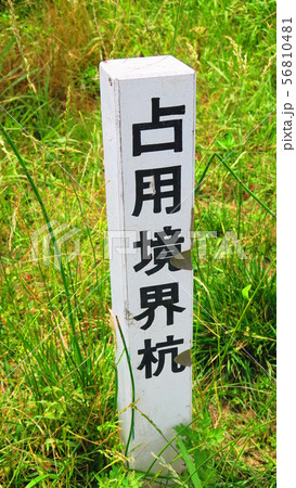 占有境界杭のある風景 占有境界杭のある風景 56810481