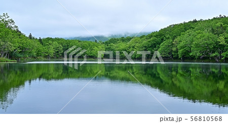遊歩道から見た知床五湖の情景@北海道 遊歩道から見た知床五湖の情景@北海道 56810568