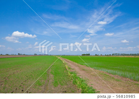 Off-road track Off-road track 56810985