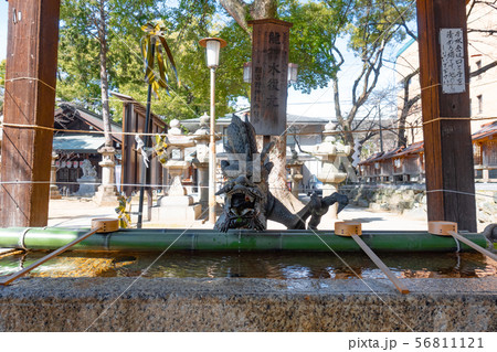 龍神水　那古野神社の手水舎 56811121