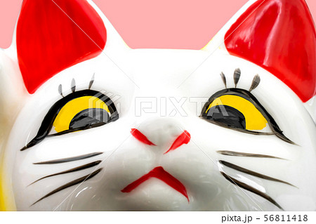 招き猫 招き猫 56811418