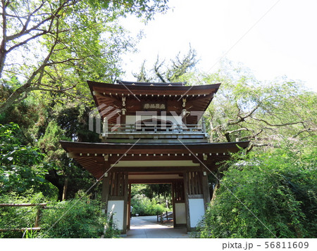浄智寺　Jochiji temple 56811609