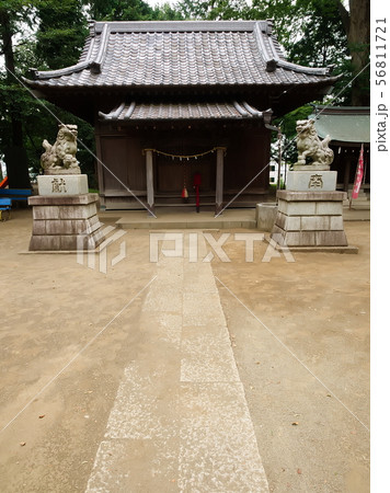 仙波氷川神社の拝殿(川越市、埼玉) 仙波氷川神社の拝殿(川越市、埼玉) 56811721