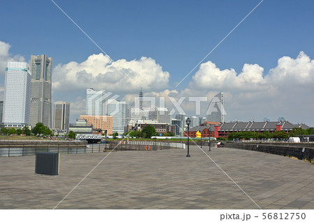 横浜 横浜 56812750