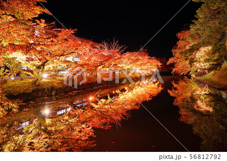 弘前城紅葉ライトアップ 弘前城紅葉ライトアップ 56812792