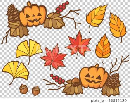 ハロウィンのかぼちゃと秋の紅葉 切り絵風イラストセットのイラスト素材 56813120 Pixta