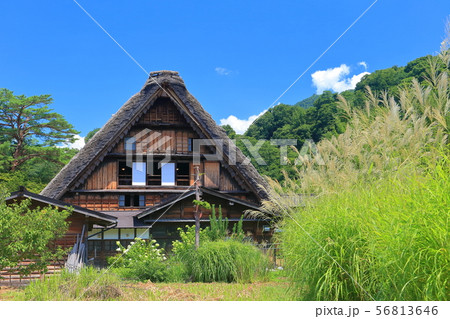 【岐阜県】晴天下の白川郷 和田家住宅 【岐阜県】晴天下の白川郷 和田家住宅 56813646