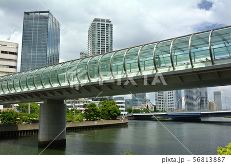横浜駅東口 56813887