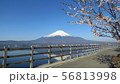 富士五湖_山中湖と桜_I421I6016 56813998