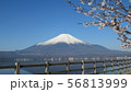 富士五湖_山中湖と桜_I421I6018 56813999