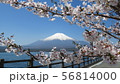 富士五湖_山中湖と桜_I421I6298 56814000