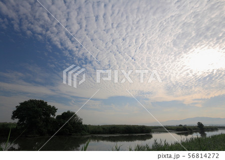 初秋の福島潟 56814272