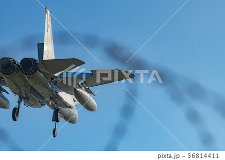 着陸態勢の戦闘機 着陸態勢の戦闘機 56814411