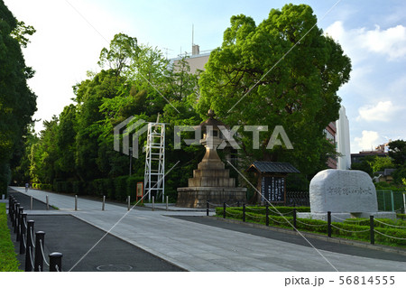 横浜・総持寺 横浜・総持寺 56814555