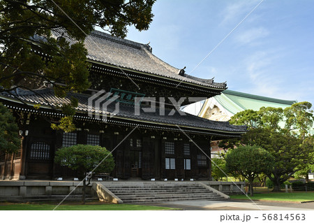 横浜・総持寺 56814563