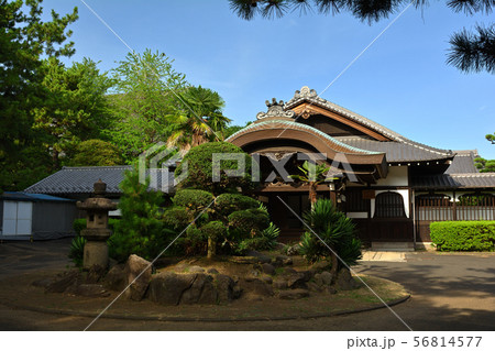 横浜・総持寺 56814577