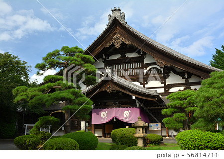 横浜・総持寺 56814711