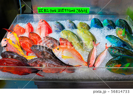 牧志公設市場の鮮魚店 牧志公設市場の鮮魚店 56814733
