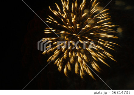 Colorful fireworks in night sky 56814735