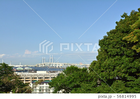 横浜・港の見える丘公園からの風景 56814995