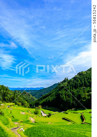 つづら棚田　【福岡県うきは市】 56815242