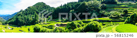 つづら棚田　パノラマ　【福岡県うきは市】 56815246