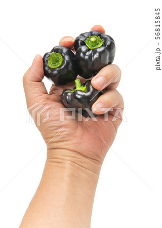 黒ピーマン 56815845