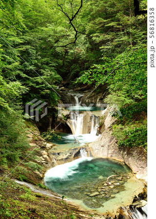 七ツ釜五段の滝 七ツ釜五段の滝 56816358