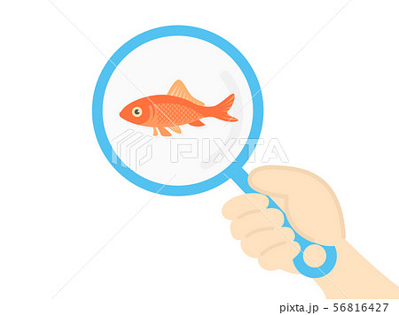 金魚すくいのイラスト素材