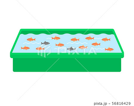 金魚すくい 金魚すくい 56816429