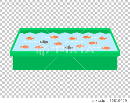 金魚すくい 金魚すくい 56816429
