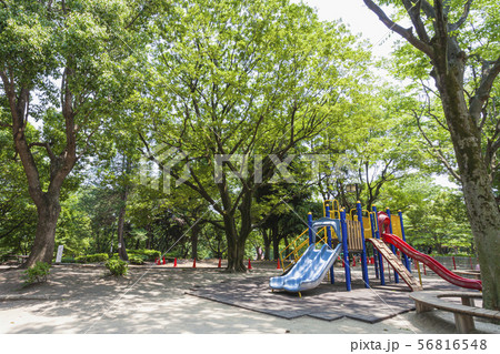 祖師谷公園 祖師谷公園 56816548