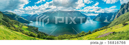 Sogn And Fjordane Fjord, Norway. Panorama Panoramic View Of Amazing Fjord Sogn Og Fjordane. Summer 56816766