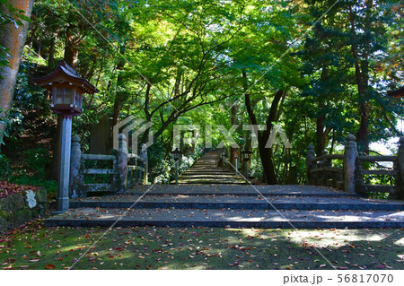 白山比咩神社　参道 56817070