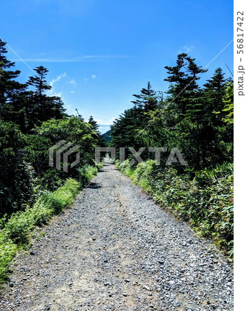 一本道～山 56817422