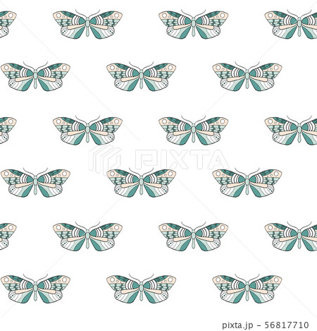 Butterfly seamless pattern 56817710