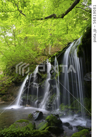 猿壺の滝（兵庫県美方郡） 56819081